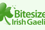 Bitesize Irish Gaelic