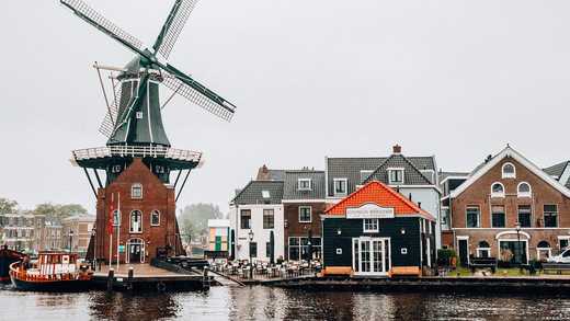 14 Best And Worst Online Dutch Courses For 2024