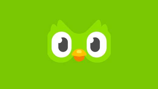 Duolingo Review: If It Wasn't Free, I Wouldn't Bother