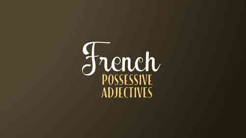Possessive Adjectives In French Explained With Examples