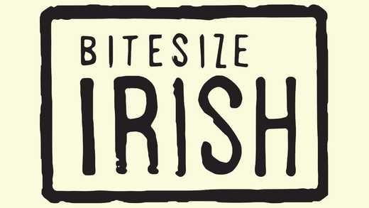 Review: Bitesize Irish Gaelic